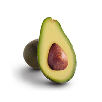 Fuerte Avocado